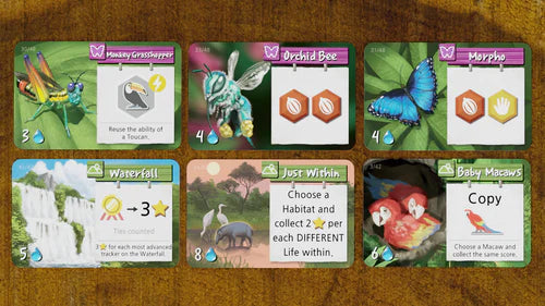 Life of the Amazonia